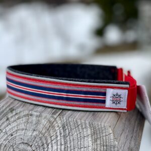 hundhalsband norge